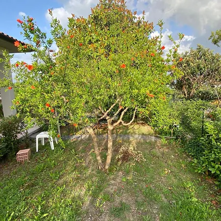 Casa Isa * Narni Scalo
