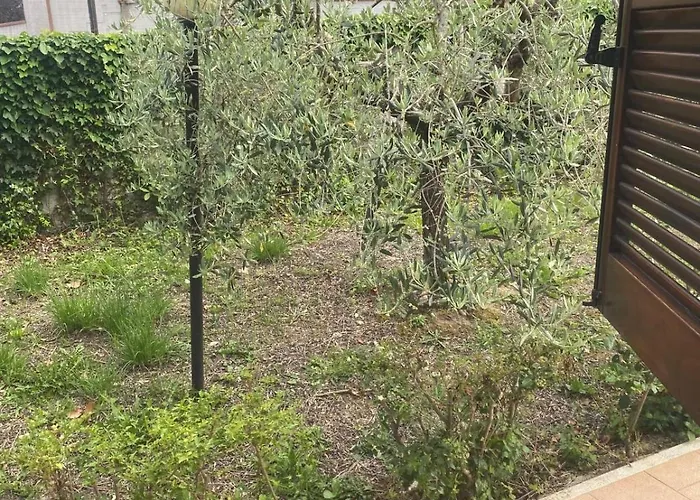 Casa Isa Maison d'hôtes