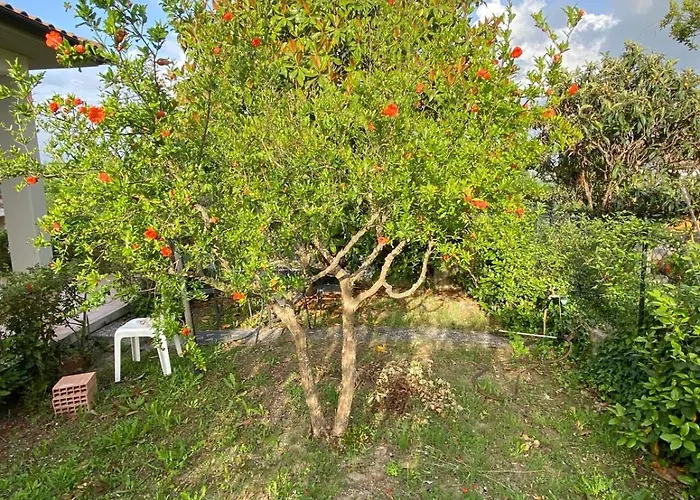 Casa Isa * Narni Scalo